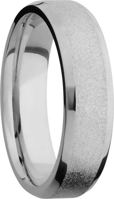 Titanium 6mm beveled band