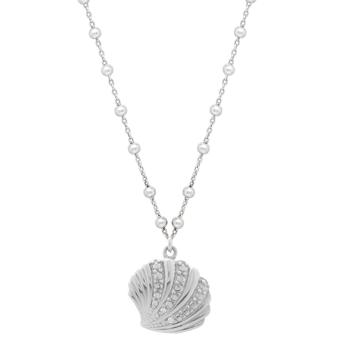 Silver Sea Shell Necklace