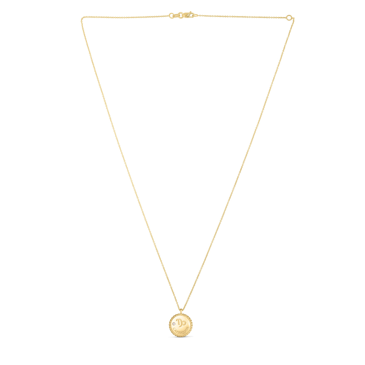 14K Gold Capricorn Pendant Necklace